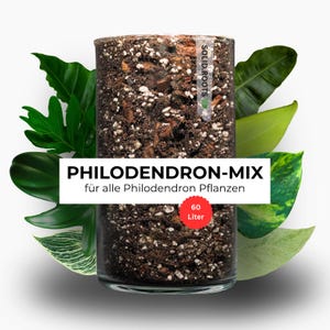 Puede incluir: Un recipiente cilíndrico transparente lleno de tierra oscura con trozos de madera y perlita blanca. Una etiqueta blanca dice PHILODENDRON-MIX, con un sello circular rojo que indica 60 Litros y una etiqueta pequeña SOLID.ROOTS.