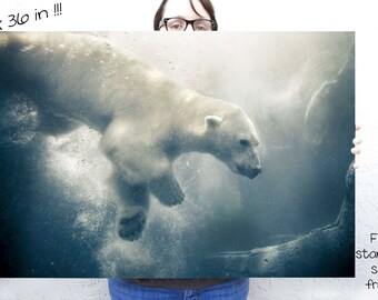 Polar Bear art, Nature Photography, Large wall art, 24 x 36, poster, animal print, arctic blue, Nature wall art, Winter Art, Polar Bear