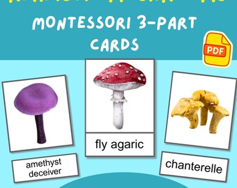Montessori Mushroom Cards: 3-Part Game + Bingo (PDF)