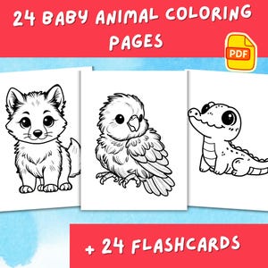 24 Baby Wild Animal Coloring Pages for Kids PDF + 24 Color Flashcards | Educational Printable Designs | Creative Activity | 8.5 x 11