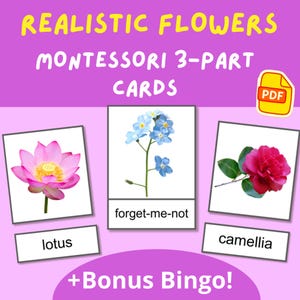 Montessori Flower Cards PDF | Karty 3-częściowe + Gra Bingo | Edukacyjna wersja do druku dla dzieci w wieku przedszkolnym | Aktywność w edukacji domowej