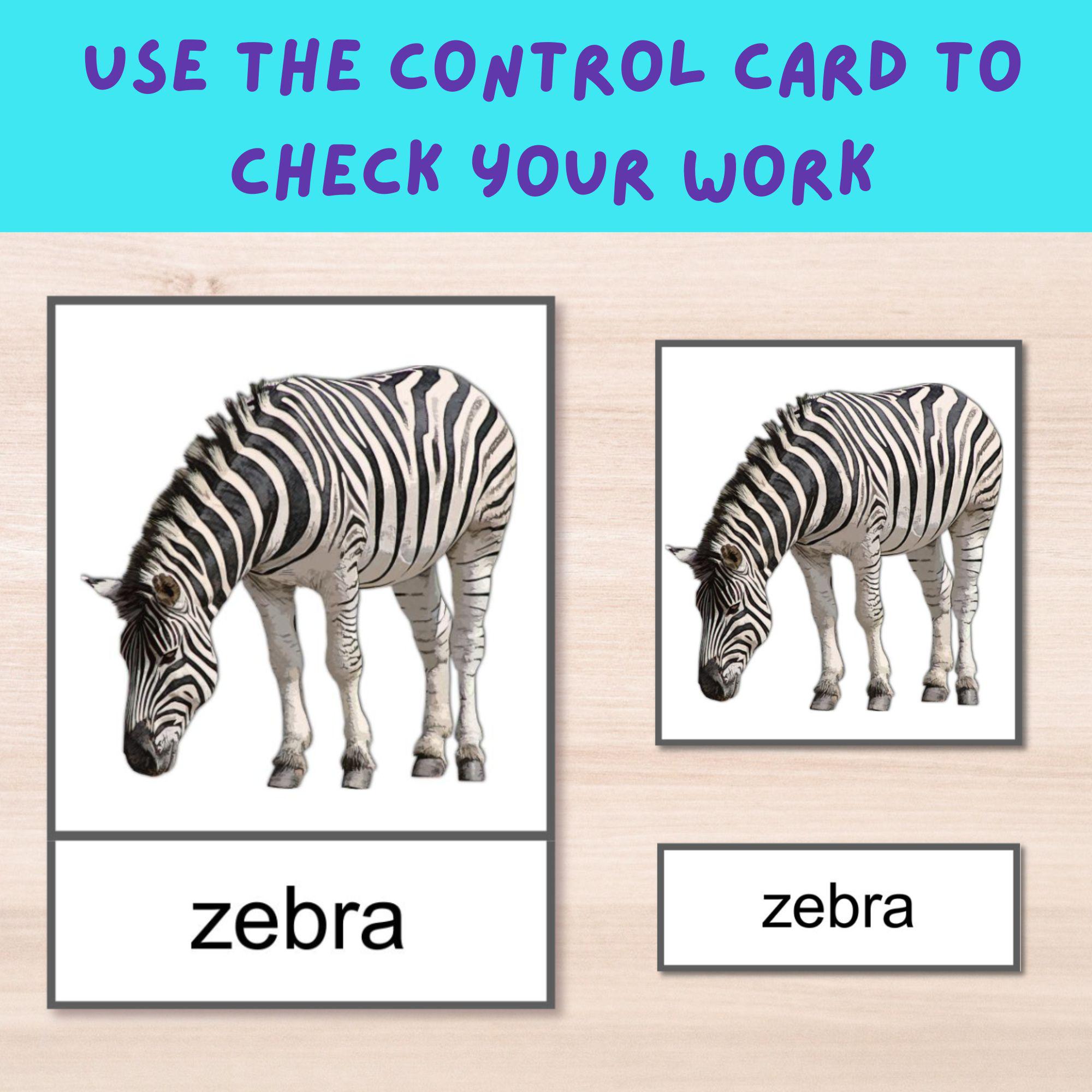 Montessori Animal Cards PDF – Wild Animals + Bingo Game – Preschool ...