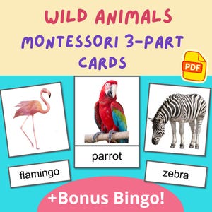 Montessori Animal Cards PDF – Wild Animals + Bingo Game – Preschool Flashcards for Learning & Homeschool