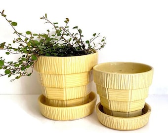 Vintage Yellow McCoy Flower Pot Set, Basketweave, Read Description