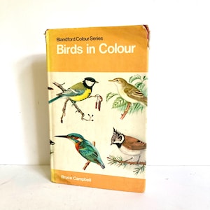 Vintage British Bird Book, Birds in Colour, Hardcover 1960