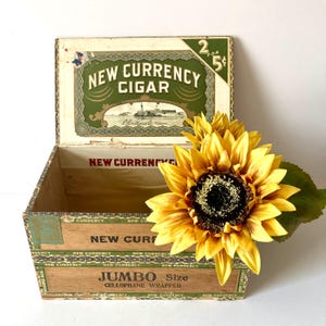 Vintage Large Cigar Box, New Currency
