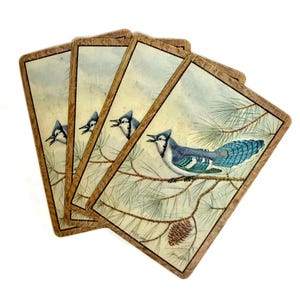 May include: A set of four rectangular coasters with a light wood-toned border. Each coaster features a detailed illustration of a blue jay perched on a pine branch with needles and a pinecone. The text BLUE JAY is printed at the bottom.
