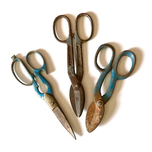 May include: Three vintage metal shears with blue handles and rusty blades are arranged on a white background. The shears vary in size and design, showcasing their age and use. The blades are a dark, aged metal.