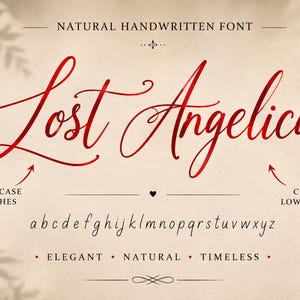 Handwritten Script Font, Elegant Calligraphy Font with Uppercase Swashes, Cursive Font, otf ttf