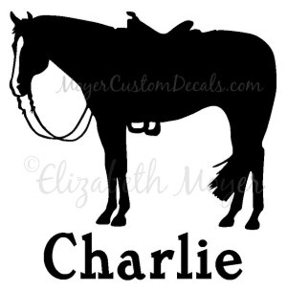 BREAST CANCER Barrel Racer Horse Rider Rodeo Vinyl Decal Sticker
