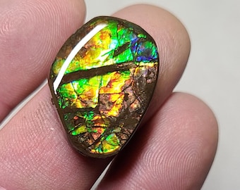 Ammolite Cabochon,  Ammolite,  Canada Ammolite,  Alberta Ammolite,  Blue Ammolite,  Ammolite Stone,  Ammolite Gem,  Ammolite Loose Stone