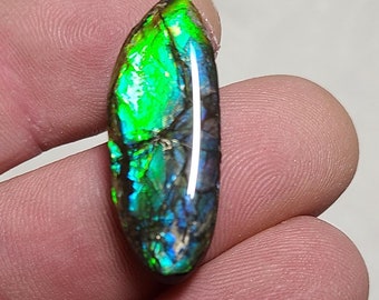 Ammolite Cabochon,  Ammolite,  Canada Ammolite,  Ammolite Loose Stone,  Ammolite Gem, Alberta Ammolite,  Ammolite Stone, Genuine Ammolite
