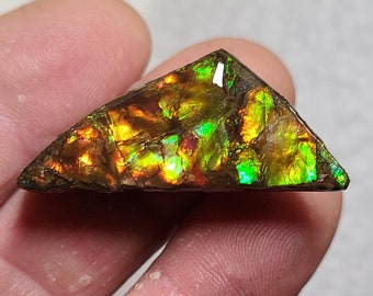 Ammolite, Ammolite Display,  Canadian Ammolite Stone,  Canada Ammolite,  Ammolite Hand Specimen, Ammolite Palm Stone