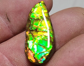 Ammolite Cabochon,  Canadian Ammolite,  Ammolite Loose Stone,  Ammolite Gem,  Bright Ammolite Cabochon