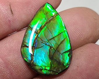 Ammolite Cabochon,  Bright Ammolite,  Ammolite Stone,  Blue Ammolite,  Ammolite Loose Stone,  Alberta Ammolite