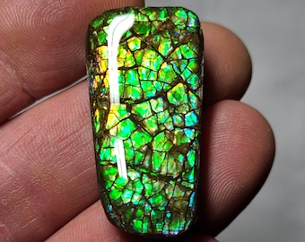 Ammolite Cabochon Canada Ammolite