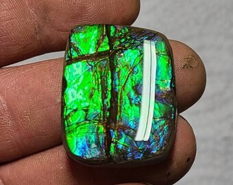 Ammolite Cabochon Canadian Ammolite Ammolite Stone