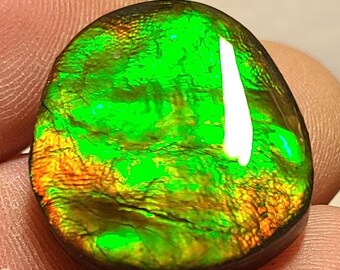 Canada Ammolite Cabochon,  Ammolite Loose Stone,  Canadian Gem, Bright Ammolite Cabochon,  Ammolite