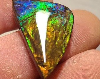 Ammolite Cabochon,  Canada Ammolite,  Ammolite Loose Stone,  Bright Ammolite,  Ammolite Stone,  Ammolite Gem,  Blue Ammolite,  Ammolite