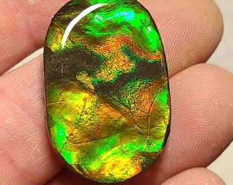 Ammolite Cabochon,  Canadian Ammolite Loose Stone Cabochon,  Ammolite Gem Stone,  Bright Ammolite Stone,  Ammolite Cab