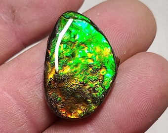 Ammolite Cabochon,  Genuine Canadian Ammolite, Green Bright Ammolite Gemstone