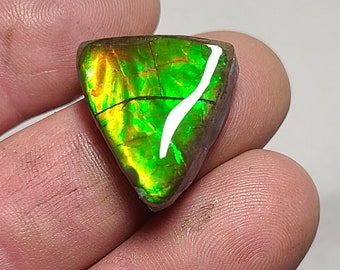 Ammolite Cabochon,  Ammolite,  Canada Ammolite,  Ammolite Gem