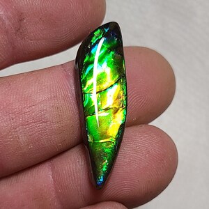 Ammolite Cabochon,  Genuine Canadian Ammolite,  Ammolite Gemstone