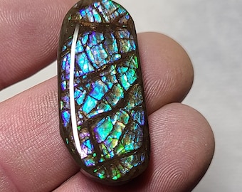 Ammolite Cabochon,  Ammolite,  Canada Ammolite,  Alberta Ammolite,  Blue Ammolite,  Ammolite Stone,  Ammolite Gem,  Ammolite Loose Stone