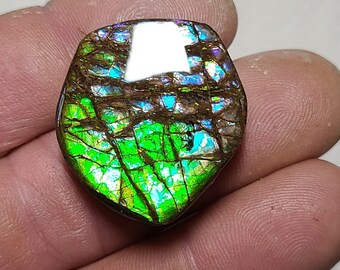 Ammolite Cabochon,  Canadian Ammolite Loose Stone,  Ammolite Stone,  Ammolite Gem