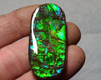 Ammolite Cabochon Canadian Ammolite