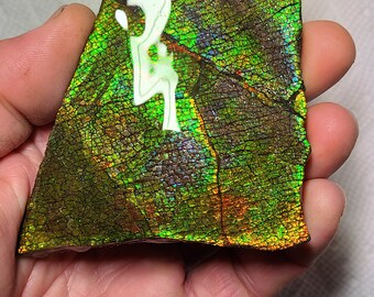 Ammolite Hand Specimen , Ammolite Display , Canadian Ammolite