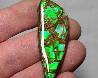 Ammolite Cabochon Canada Ammolite