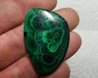 Malachite Cabochon, African Malachite, Malachite Designer Cabochon