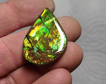 Ammolite Cabochon Ammolite Stone Canada Ammolite
