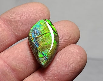 Ammolite Cabochon Ammolite Stone Canada Ammolite