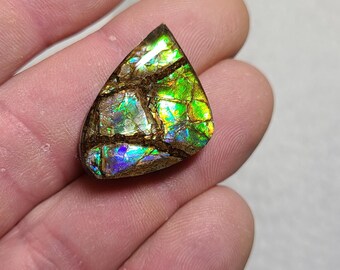 Ammolite Cabochon,  Canada Ammolite,  Ammolite Stone,  Ammolite Gem,  Ammolite Loose Stone,  Ammolite Cab