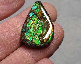 Ammolite Cabochon Canada Ammolite