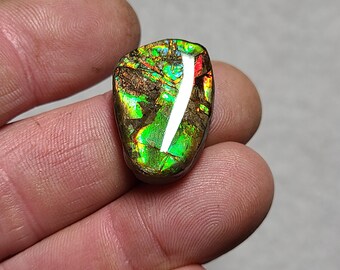 Ammolite Cabochon,  Genuine Canadian Ammolite,  Raindow Ammolite Cabochon,  Colorful Ammolite Stone