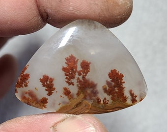 Carey Plume agate Cabochon