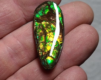 Ammolite Cabochon Canada Ammolite