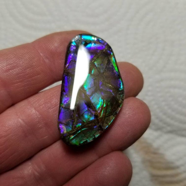 Ammolite Cabochon