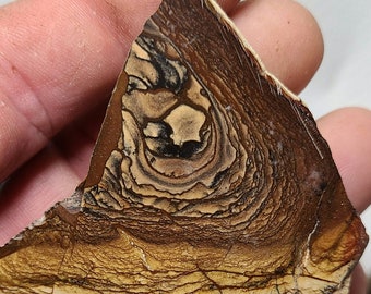 Deschutes Jasper Polished Slab, Porcelain Jasper,  Rare Jasper Cabochon