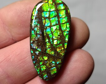 Ammolite Cabochon Canada Ammolite