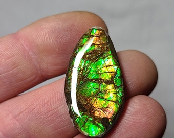 Ammolite Cabochon Canada Ammolite