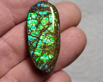 Ammolite Cabochon Canada Ammolite