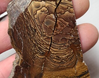 Deschutes Jasper Polished Slab, Porcelain Jasper,  Rare Jasper Cabochon