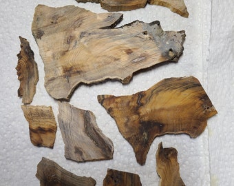 Hell's Canyon Petrified Wood Rough Slabs