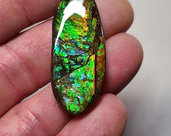 Ammolite Cabochon,  Ammolite,  Canada Ammolite,  Ammolite Loose Stone,  Ammolite Gem, Alberta Ammolite,  Ammolite Stone