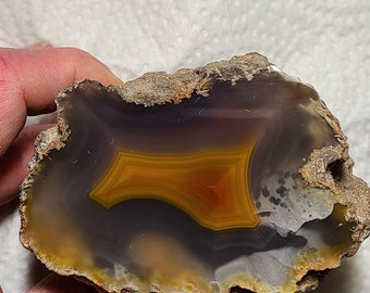 Condor Agate Polished Agentina