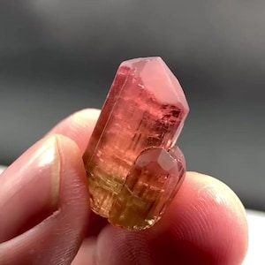 Magnificent Bi-Color Tourmaline Crystals - Paprok Origin - 15.90g - Faceted Grade | Bi-Color Tourmaline Crystals - Rich Hot Pink Zones